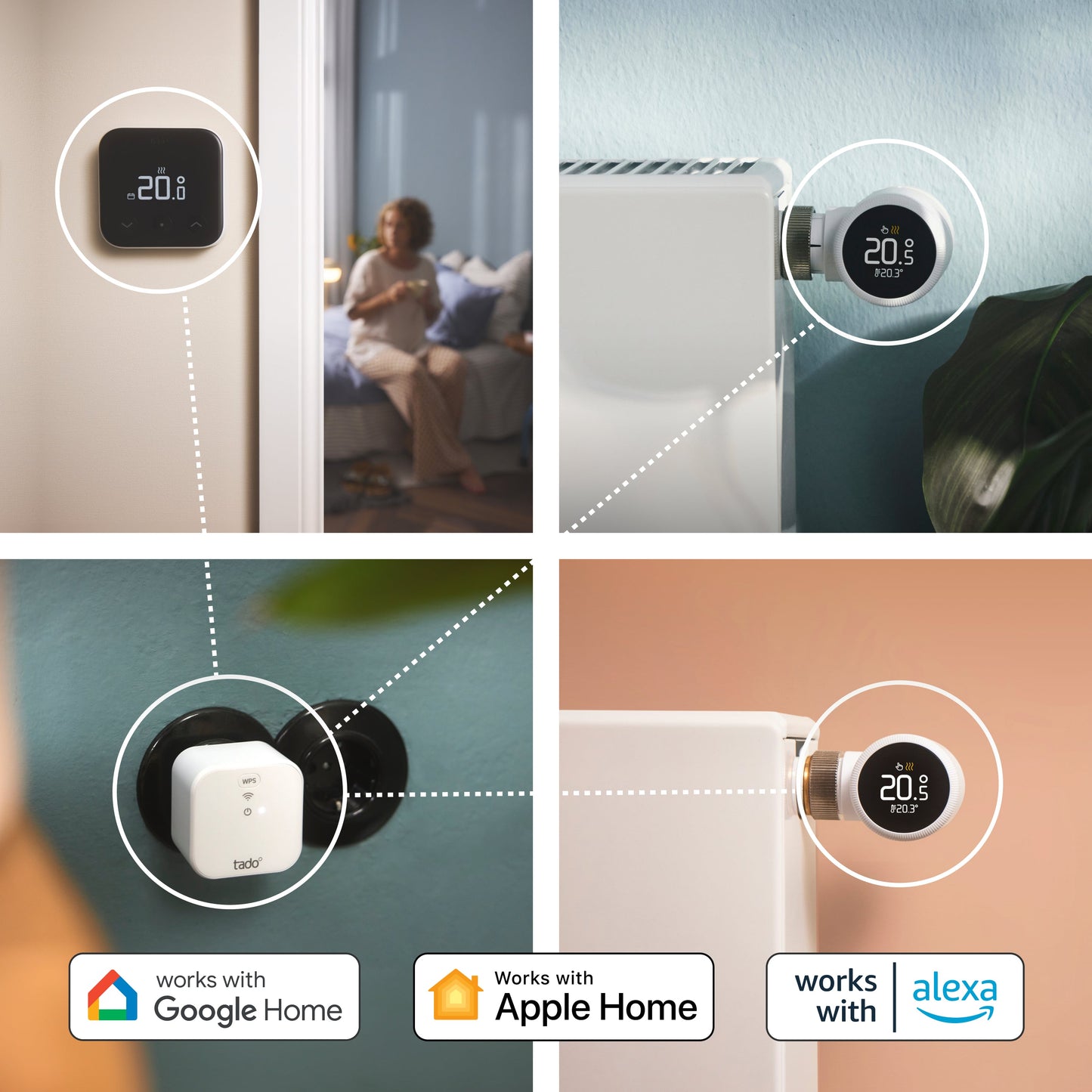 Bridge X for Professionals